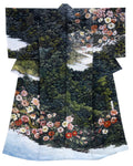 撫樹林長寿花